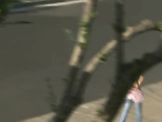 Big Tits, Great Ass & Hot Fuck