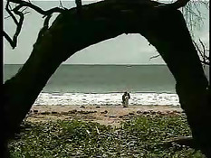 Anal On The Beach