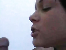 Lets Fuck On The Roof