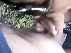 Where The Wild Things Are