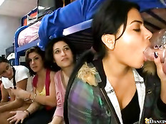 Young raven takes the initiative