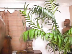 Одна чёрная на двух больших негров