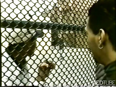 Блоуинг троицы горячих мальчишек