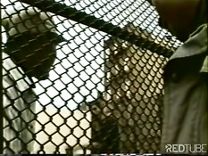 Блоуинг троицы горячих мальчишек