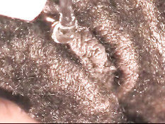 Волосатая чёрная пизда крупным планом