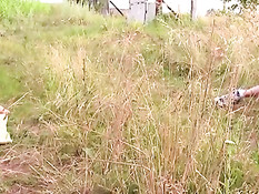 Красивая сисястая малышка в поле