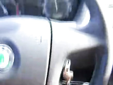 Chris и Lena ебутся в машине и на парковке