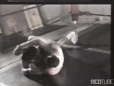 Сексуальная мужская борьба