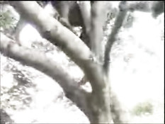 Африканский чёрный секс в джунглях