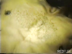 Сексуальные мечты чёрных ребят