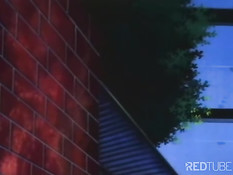 My life as a chicken