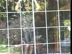 Азиатская дива трахается с парнем на шезлонге