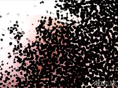 Кончил на татуированную попку грудастой блондинки