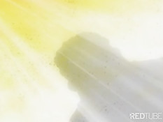 Мечта или воспоминание?