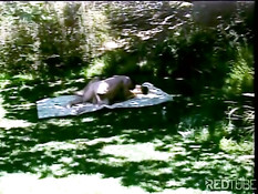 Семейная пара занимается сексом на поляне