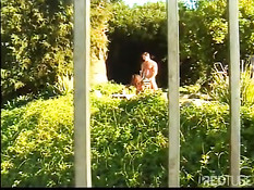 В дневной программе у него секс в саду с чёрной девкой