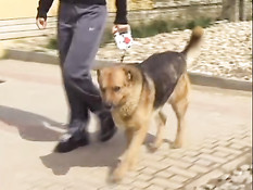 Две девушки ласкаются на кровати