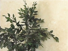 Огромный чёрный член трахнул двух девок