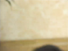 Огромный чёрный член трахнул двух девок