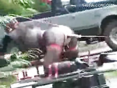 Она едет на тележке с фаллоимитатором в пизде