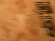 Два члена в одном влагалище