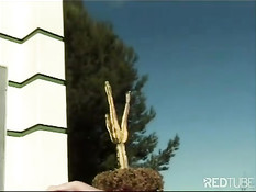 Классный минет от брюнетки в летний день