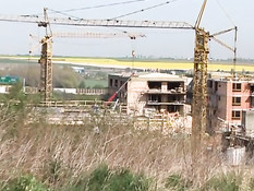 Молодые безбашенные работники делают минет