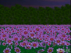 У них очень чистая любовь