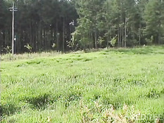 Трах с плоскогрудой японской проституткой