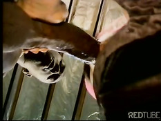 Чёрная сука трахалась с парнем в тюрьме