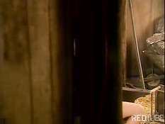 Дикая ебля в сарае для скота