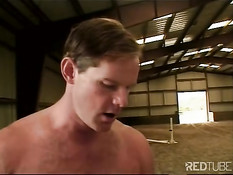 Сука отсосала мужику член в зале для конных тренировок