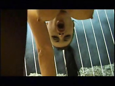 Развратные шлюхи занимаются сексом на качелях