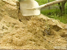 Горячий секс на улице в солнечный день