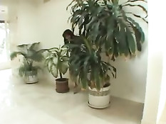 Горячий анальный секс и минет с азиаткой