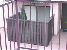 Лысый парень отодрал чёрную киску