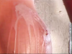 Две девочки капают на сиськи подруги горячим воском