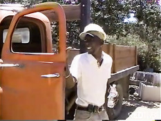 Лучше весело заняться сексом в тени большого дерева