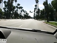 Пейсли Адамс гуляет голышом по парку