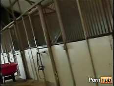 Пара любит заниматься сексом в конюшне и возле дороги