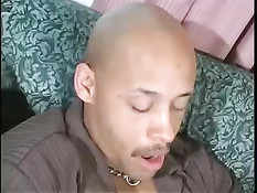 Вылизав девушке киску парень поставил её раком на диване