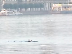 Белые ночи Санкт-Петербурга. Ночь 2