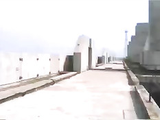 Фотоохотница