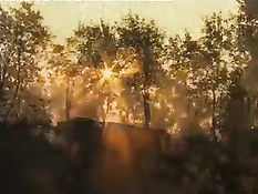 Гусарские блудни