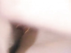 Члены партии