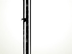 Летние прогулки голых девок по городским достопримечательностям