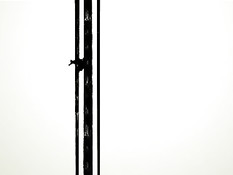 Захватывающие прогулки по большому городу в обнажённом виде