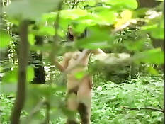 Лесные скромницы