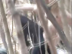 Лесные скромницы