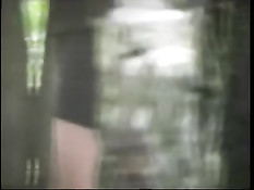 Лесные скромницы